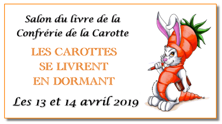 salon livre dormans 2019